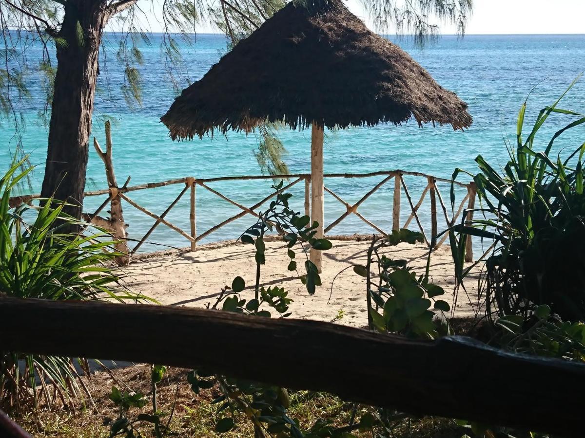 Coco Reef Ecolodge Kizimkazi Εξωτερικό φωτογραφία
